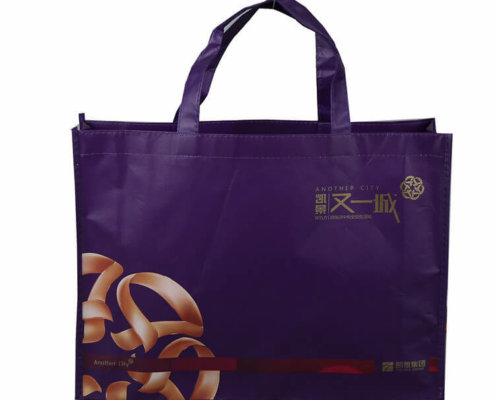 non woven bags 9 495x400 - Custom Non Woven Shoes Packing Bag